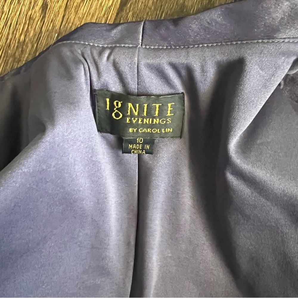 Ignite Evenings by Carol Lin Purple Formal Dress Size 10 - Picture 13 of 15